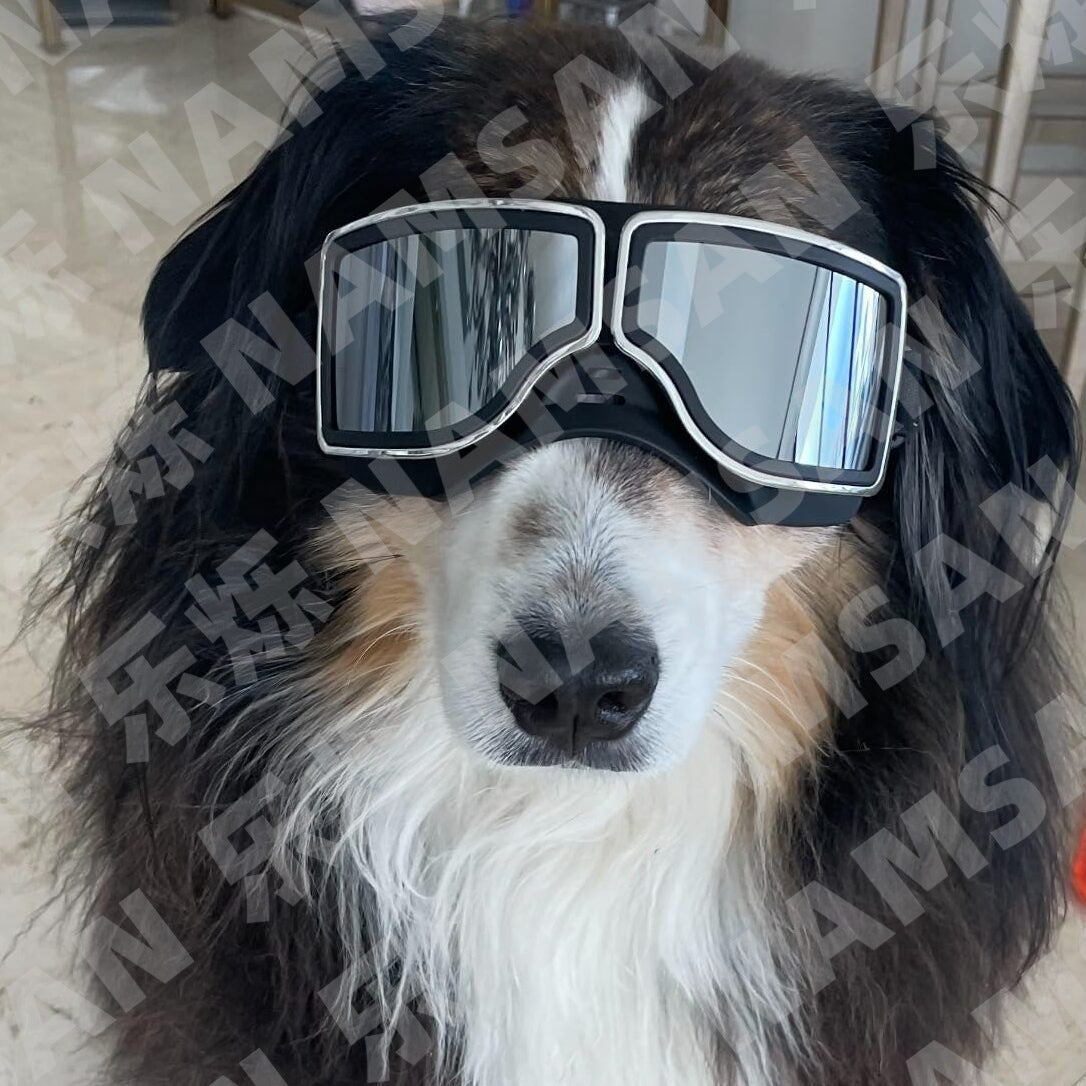 1Set Dog Goggles Medium-Large Dog Sunglasses Anti-dust Windproof Dog Goggles