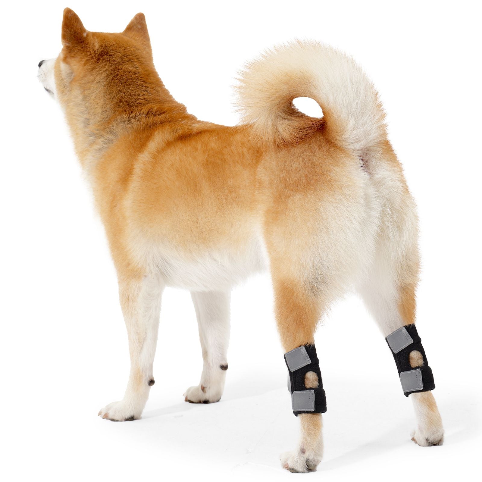 Dog Leg Knee Support Brace with Memory Spring