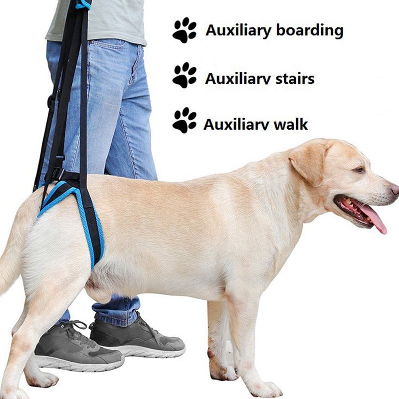 Dog Lift Harness For Large Dogs Soft Padded Adjustable Dog Back Leg Sling Dog Leg Support Harnesses