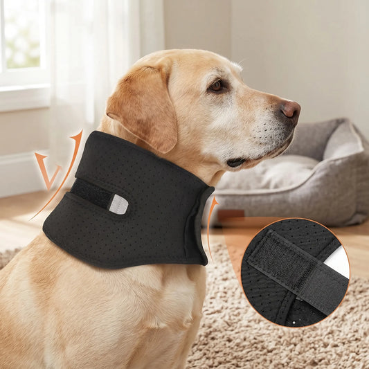 Dog Cervical Collar Neck Brace