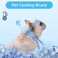 Dog Cool Bandanas Detachable and Washable Dog Cooling Scarf