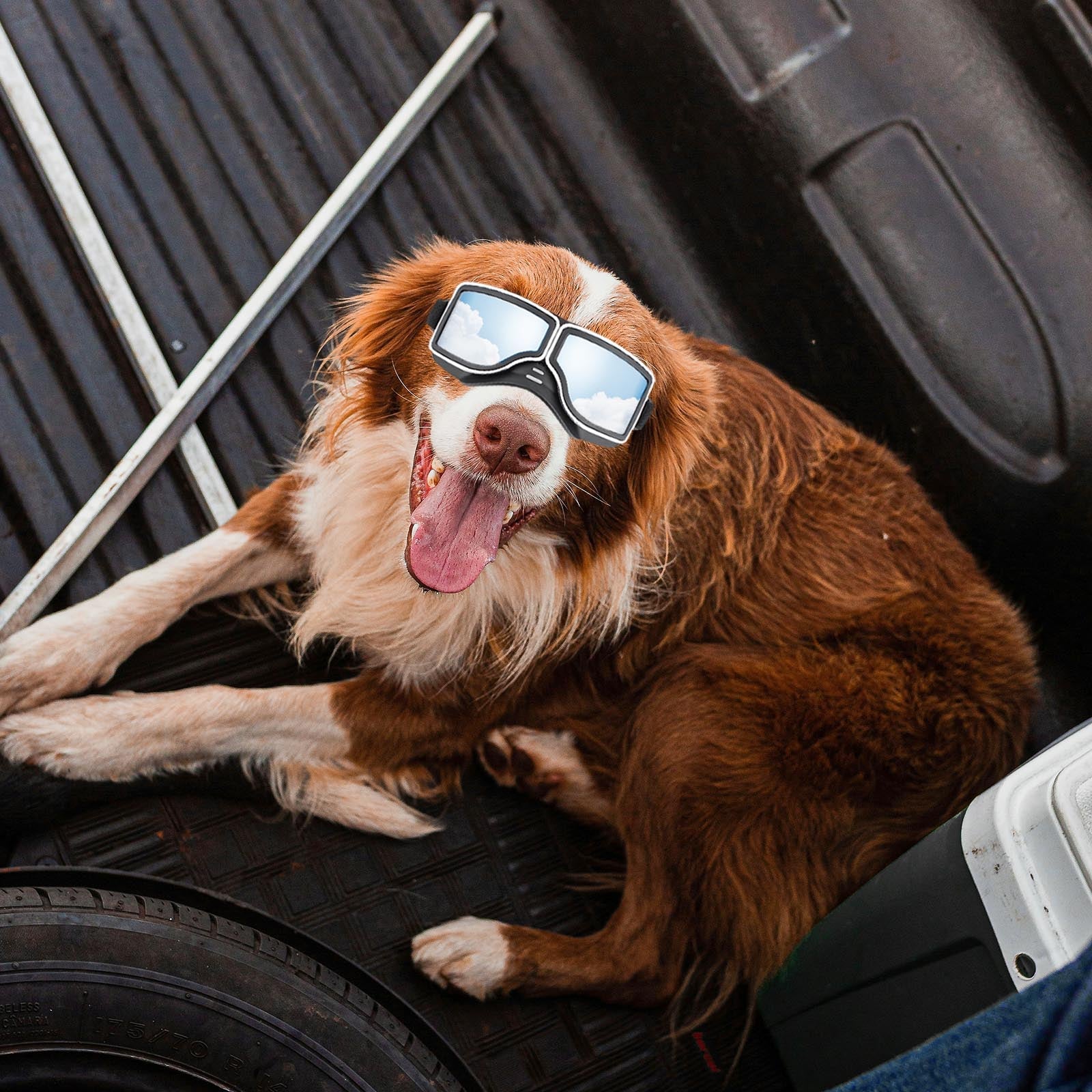 Anti-UV Dog Glasses Windproof Dog Goggles Pet Sunscreen with Adjustable Strap