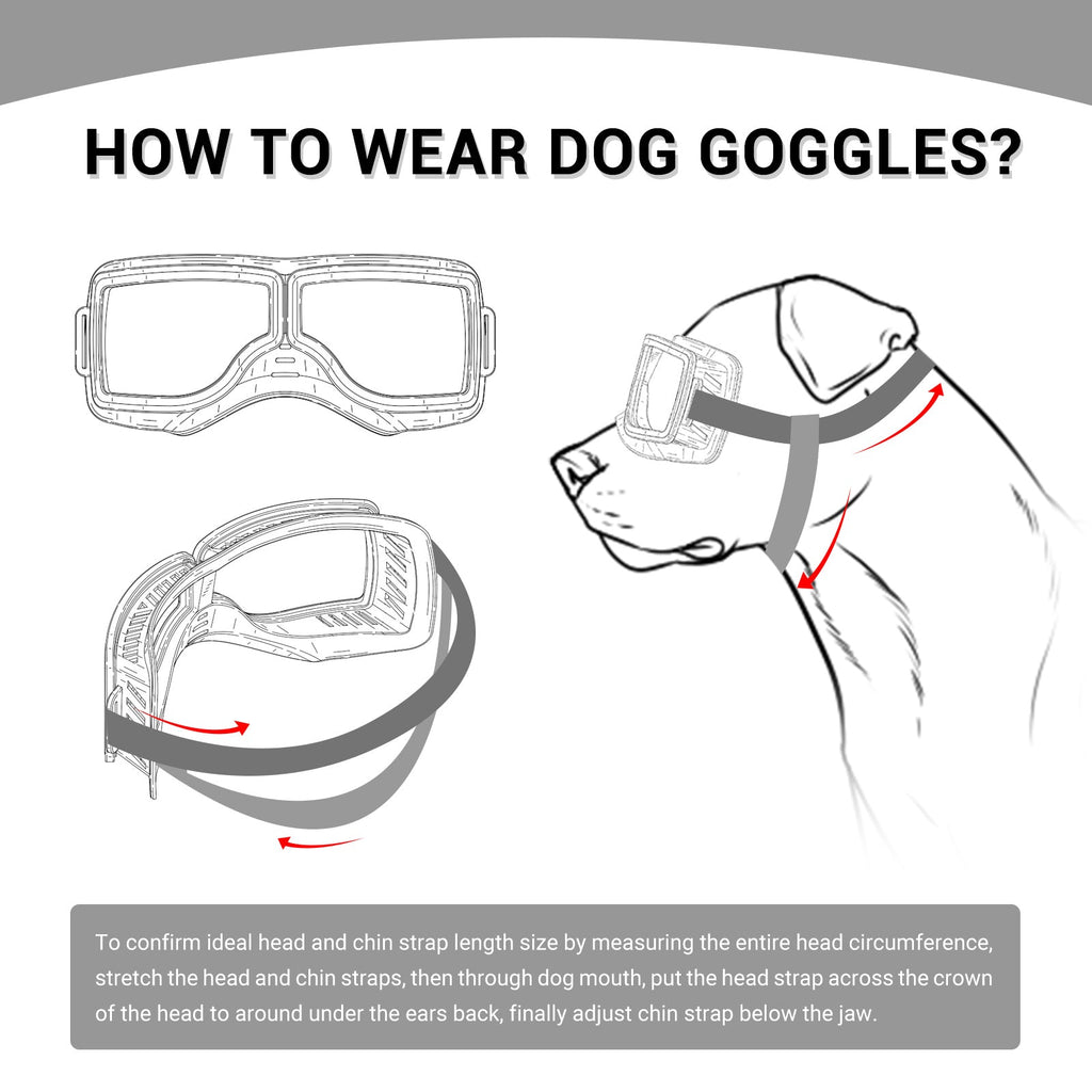 Anti-UV Dog Glasses Windproof Dog Goggles Pet Sunscreen with Adjustable Strap