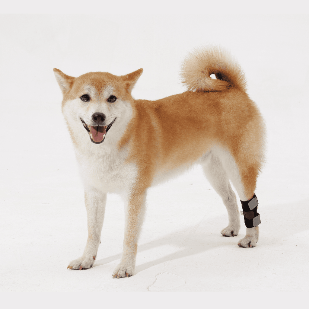 Dog Leg Knee Support Brace with Memory Spring