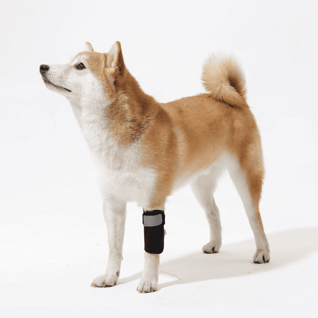 Dog Leg Knee Support Brace with Memory Spring