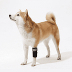 Dog Leg Knee Support Brace with Memory Spring