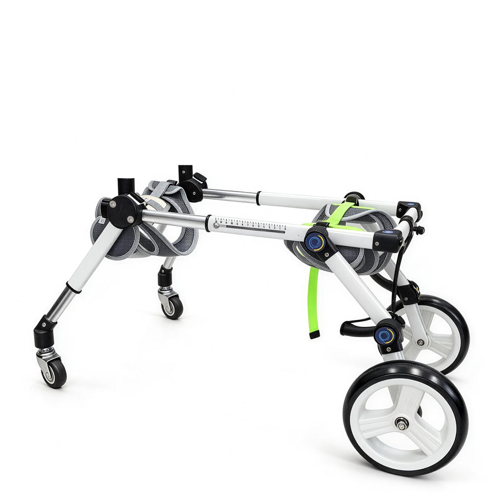 Dog Wheelchair for Disabled Dogs – Full Body Support