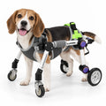 Dog Wheelchair for Disabled Dogs – Full Body Support
