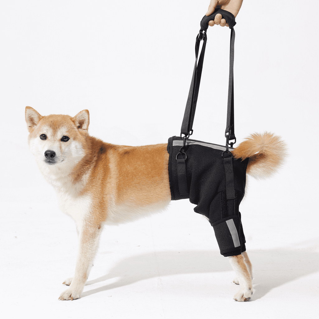 Dog Lift Harness for Back Legs