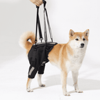 Dog Lift Harness for Back Legs