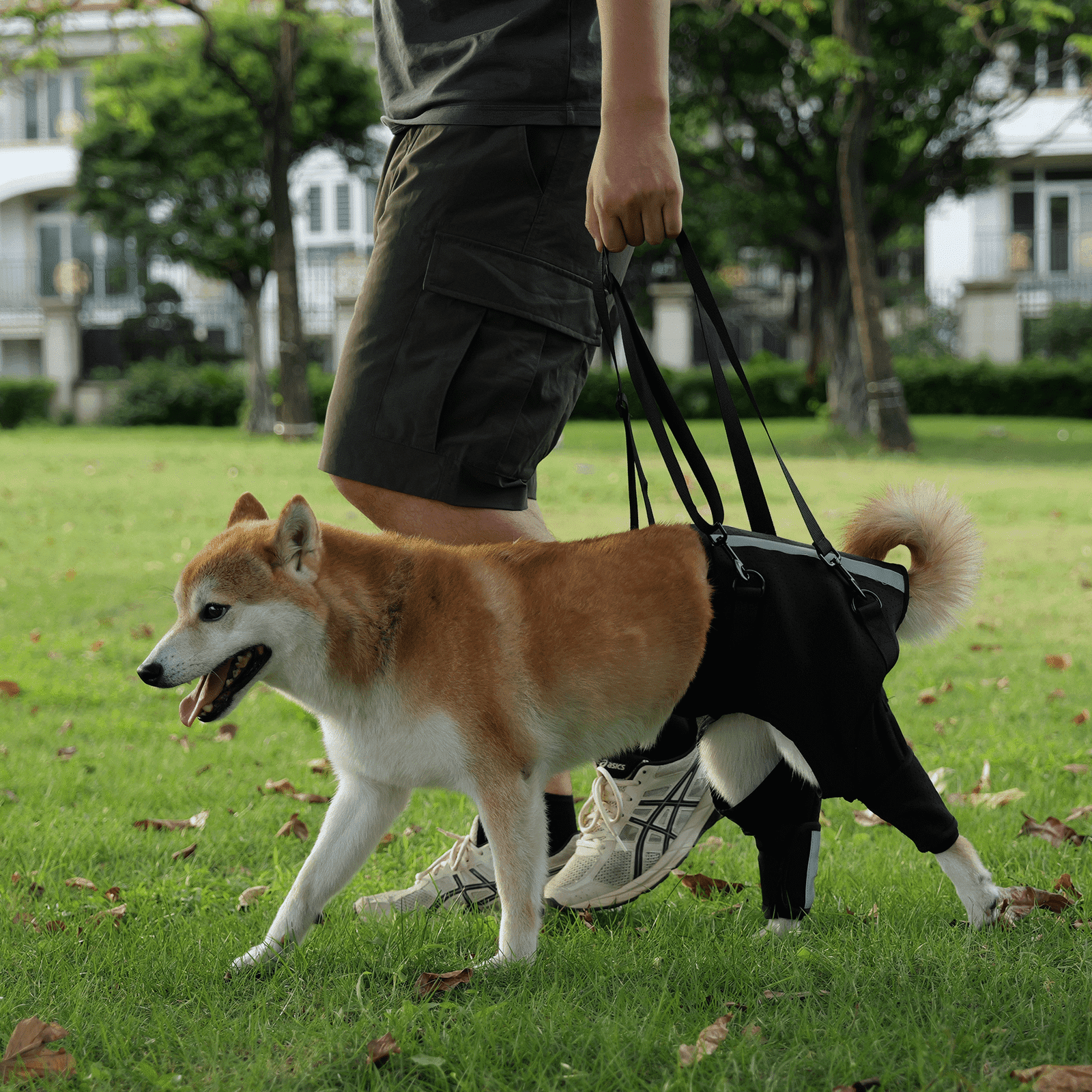 Dog Lift Harness for Back Legs
