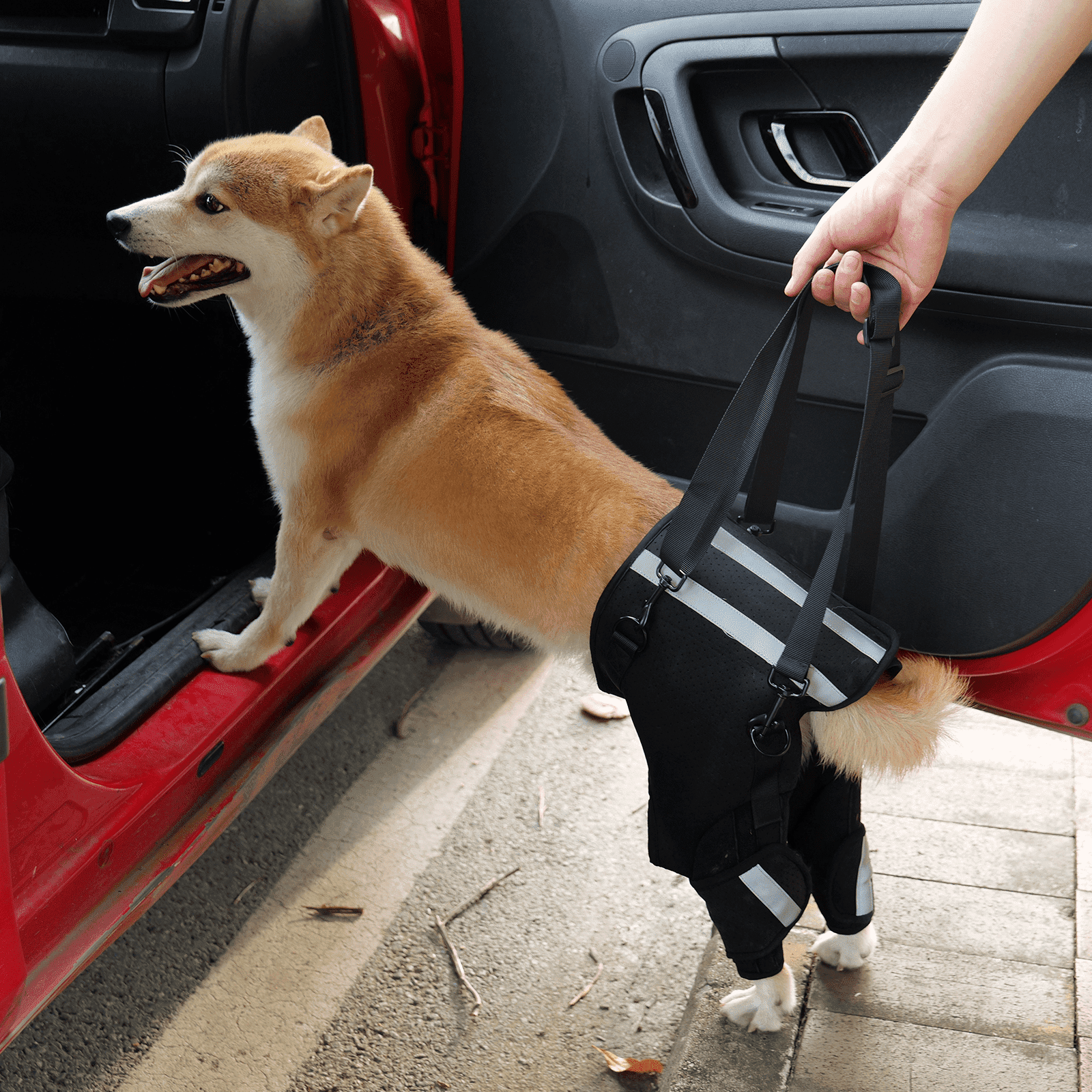 Dog Lift Harness for Back Legs