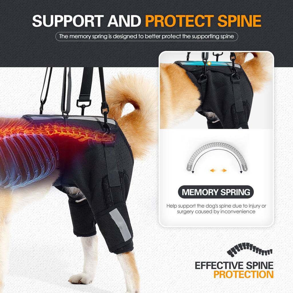 Dog Lift Harness for Back Legs