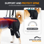 Dog Lift Harness for Back Legs