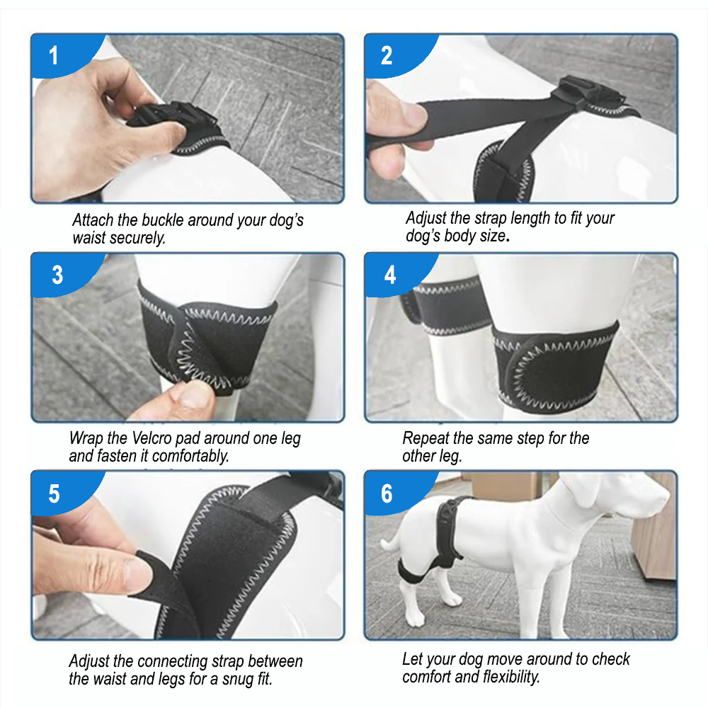 Everyday Dog Hip Dysplasia Brace