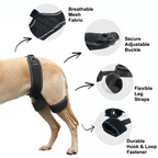 Everyday Dog Hip Dysplasia Brace