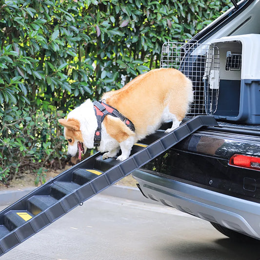 Foldable Dog Stairs for Car Boot
