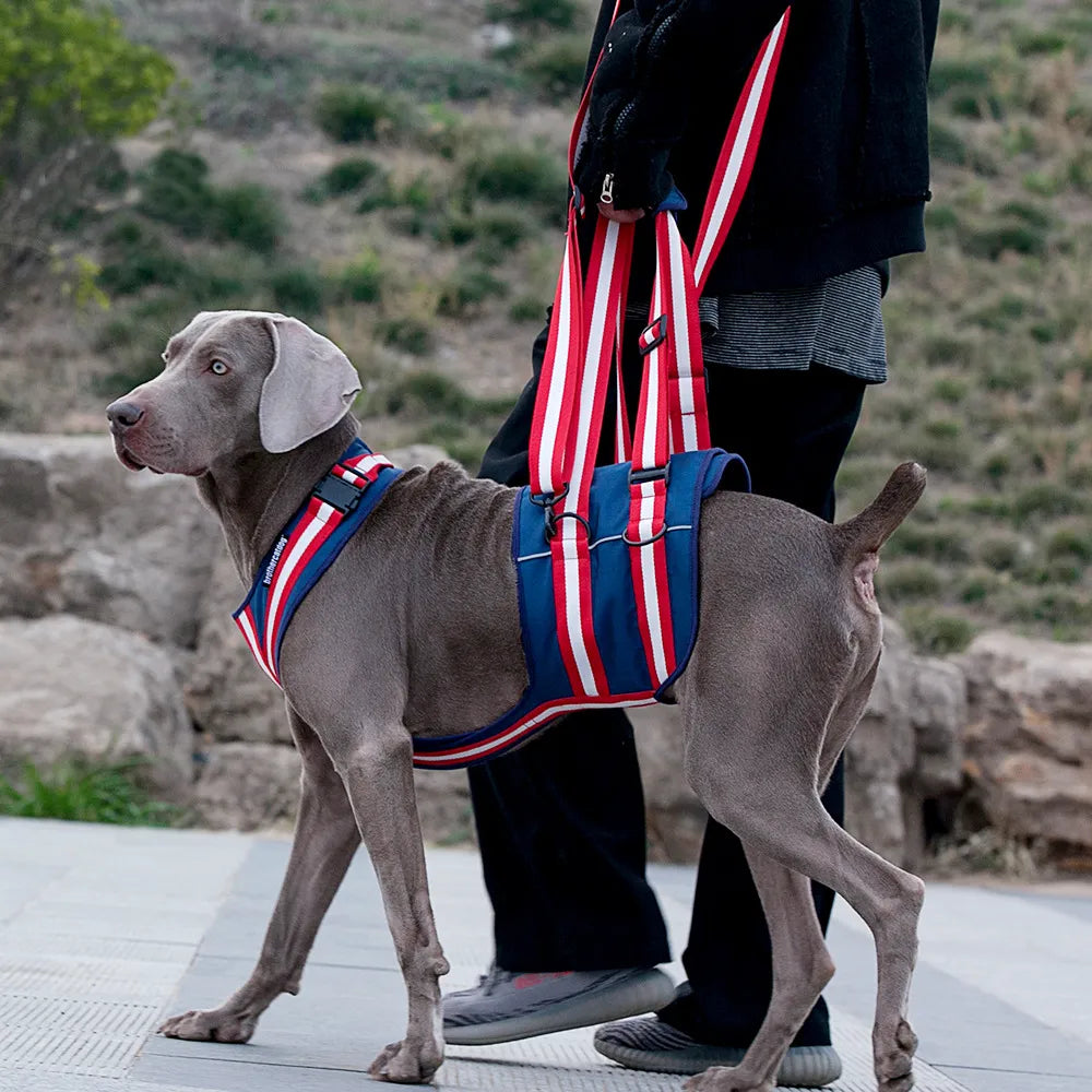 Full Body Support Dog Lift Harness