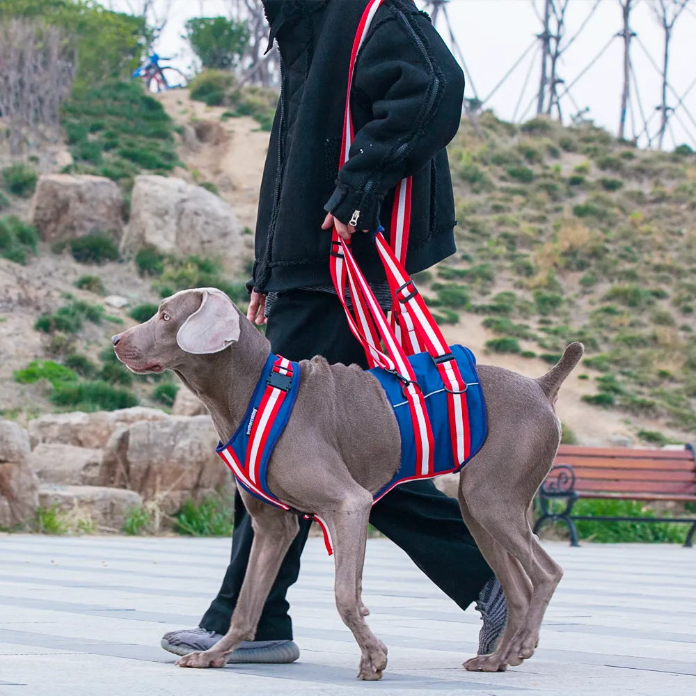 Full Body Support Dog Lift Harness