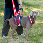 Full Body Support Dog Lift Harness