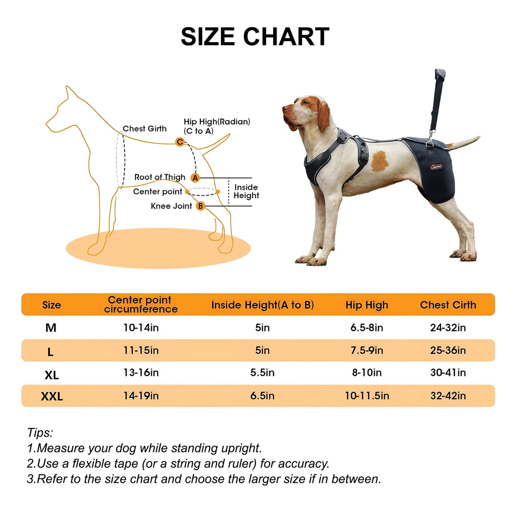 Full-Support Dog Hip Dysplasia Brace with Lift Handle
