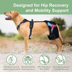 Full-Support Dog Hip Dysplasia Brace with Lift Handle
