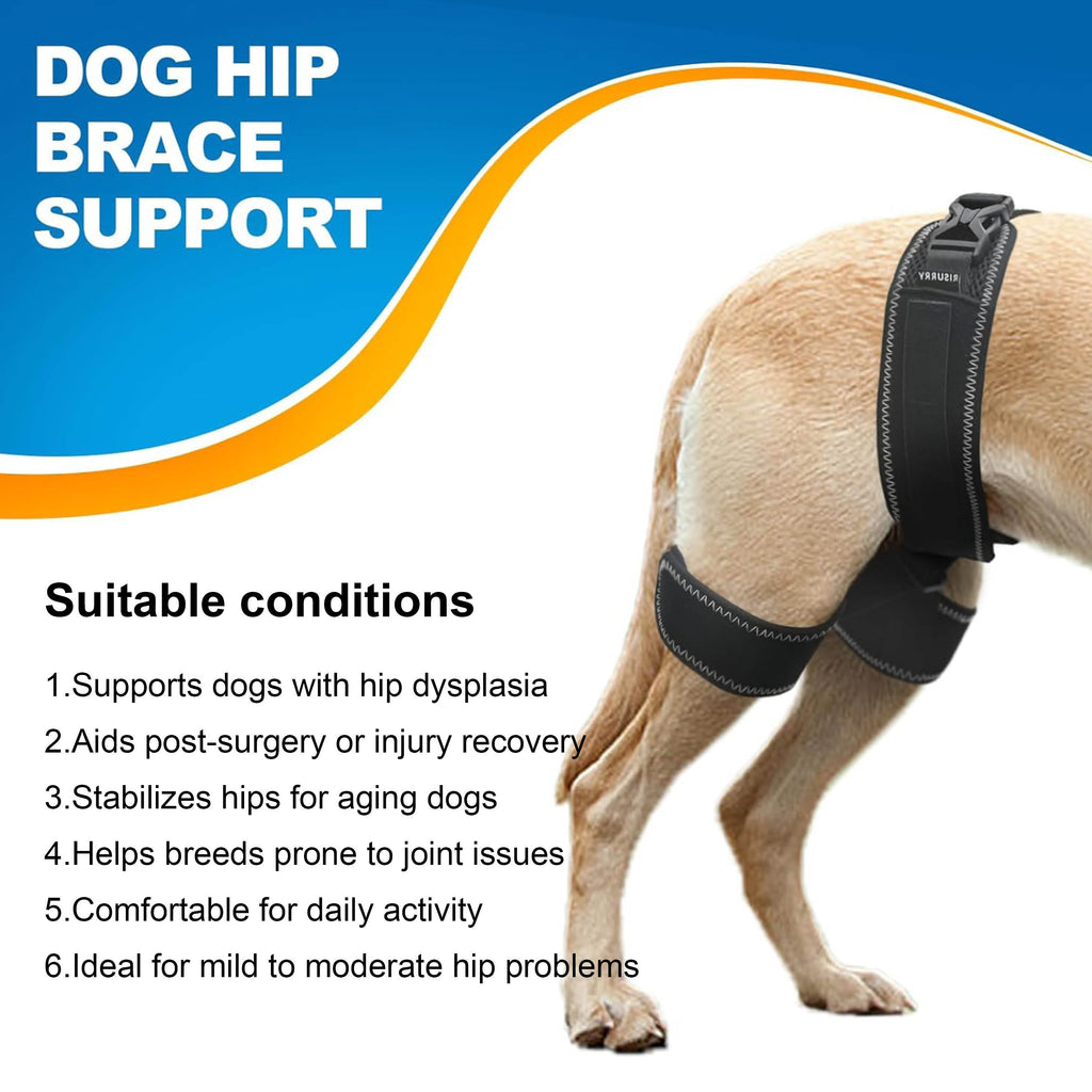 Dog Hip Dysplasia Brace Harness