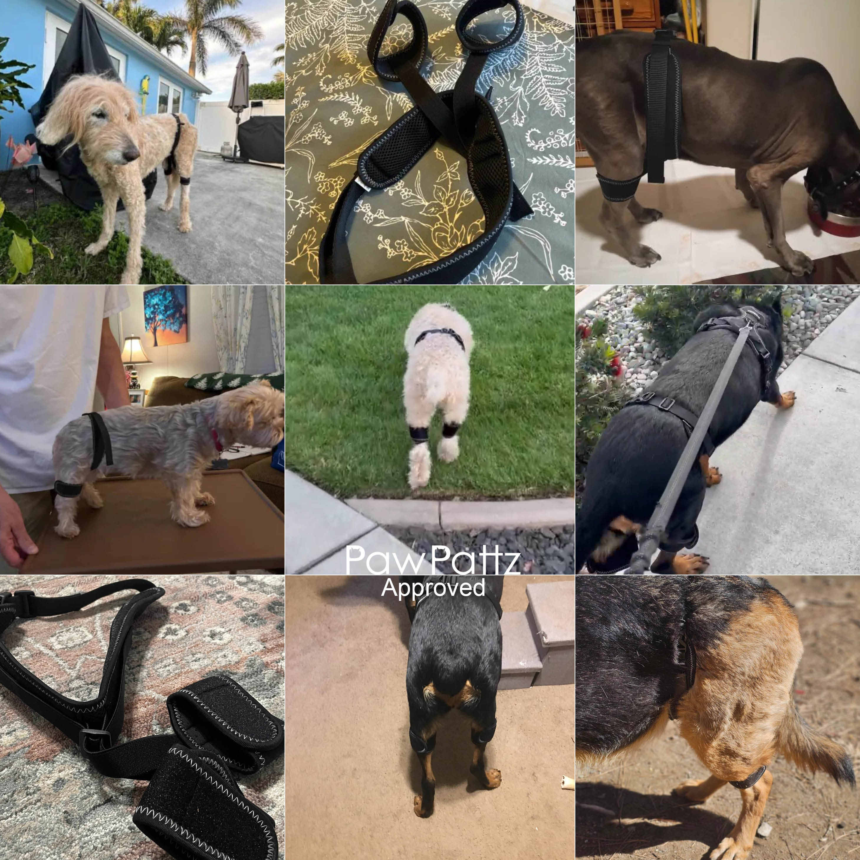 Dog Hip Dysplasia Brace Harness