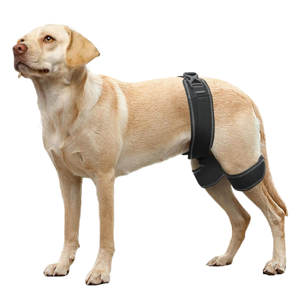 Dog Hip Dysplasia Brace Harness