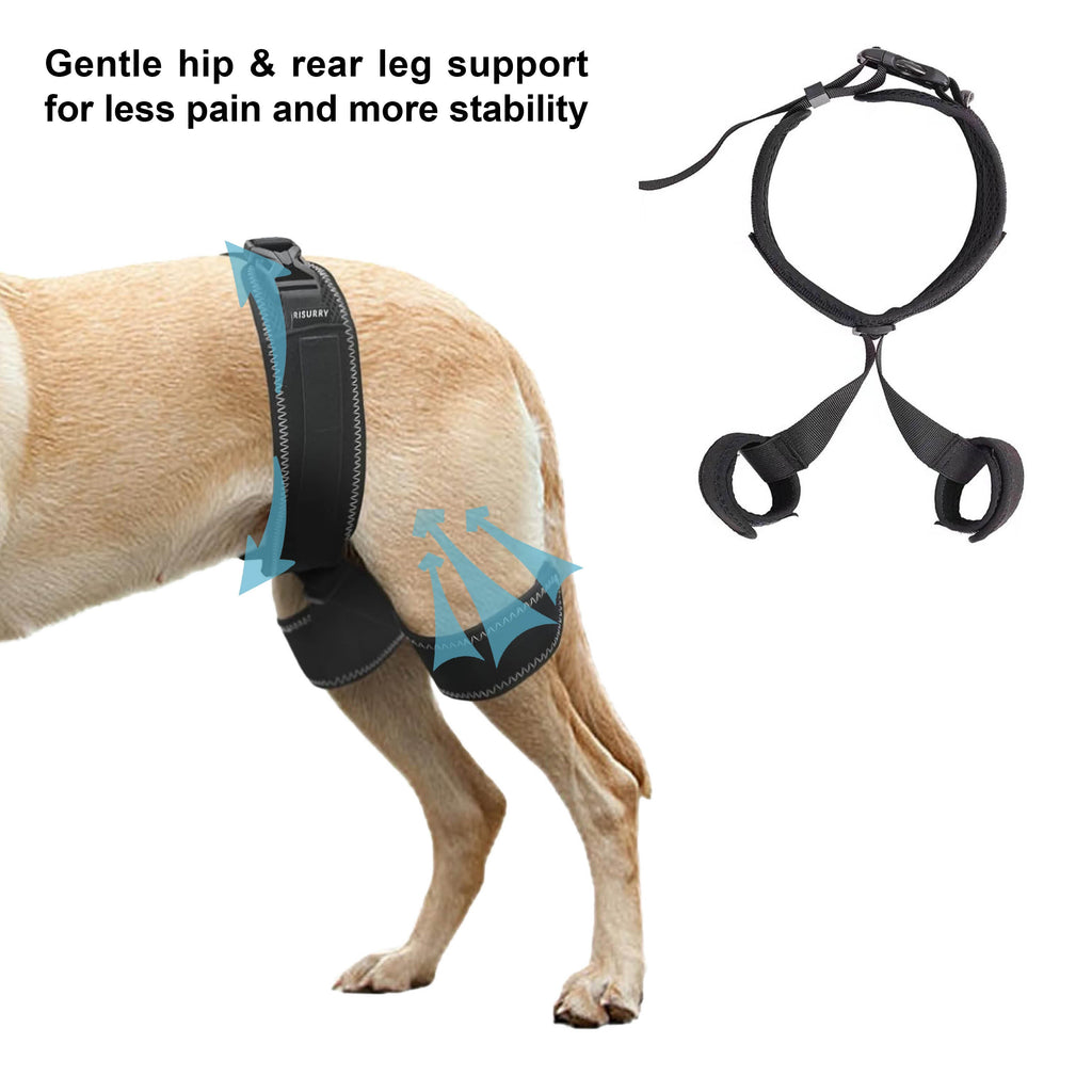 Dog Hip Dysplasia Brace Harness