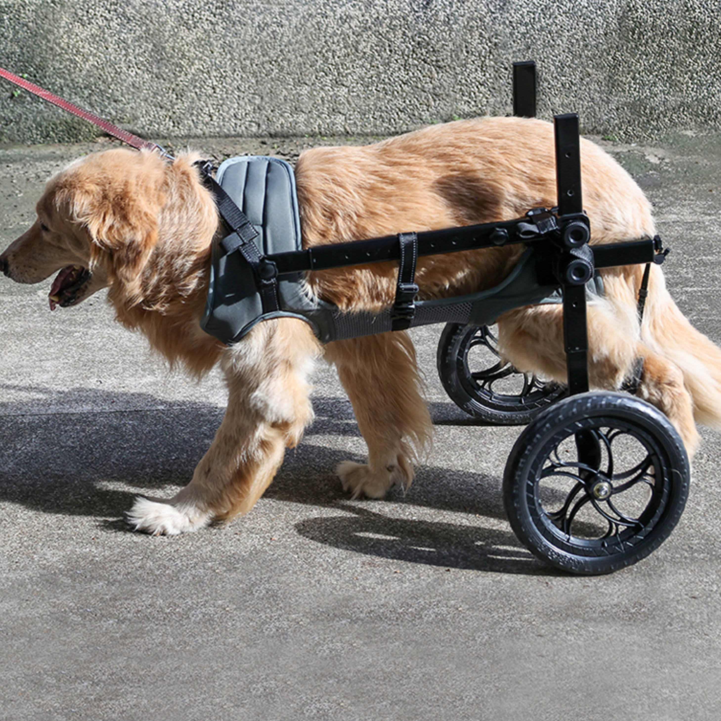 Large Dog Rear Support Wheelchair