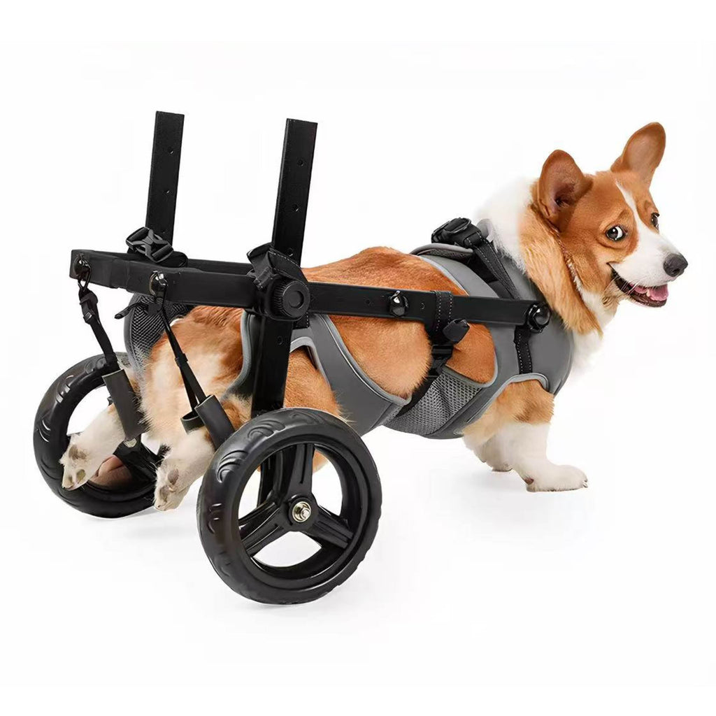 Medium Dog Rear Support Wheelchair