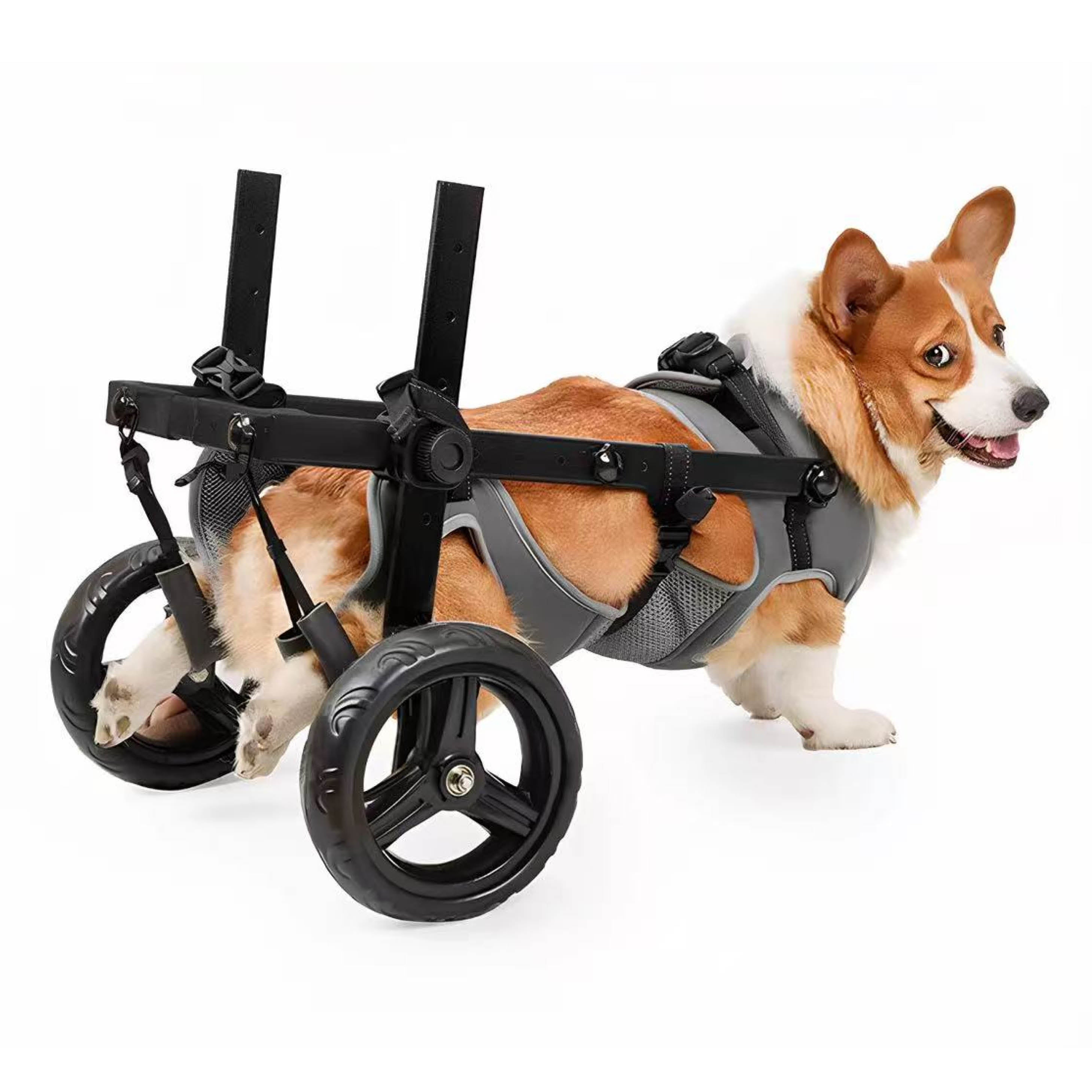 Medium Dog Rear Support Wheelchair