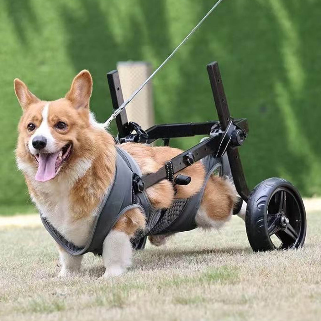 Medium Dog Rear Support Wheelchair