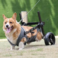 Medium Dog Rear Support Wheelchair