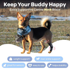 Professional Dog Leg Support Brace