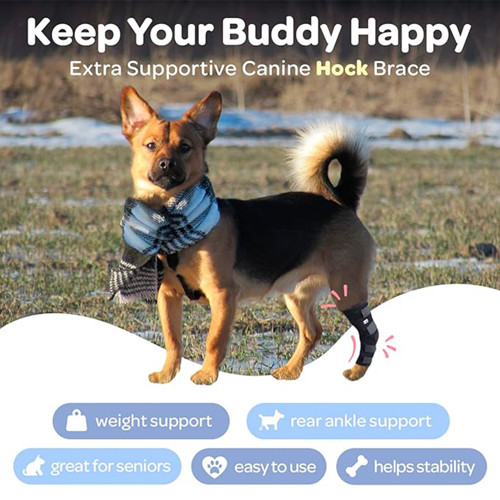 Professional Dog Leg Support Brace
