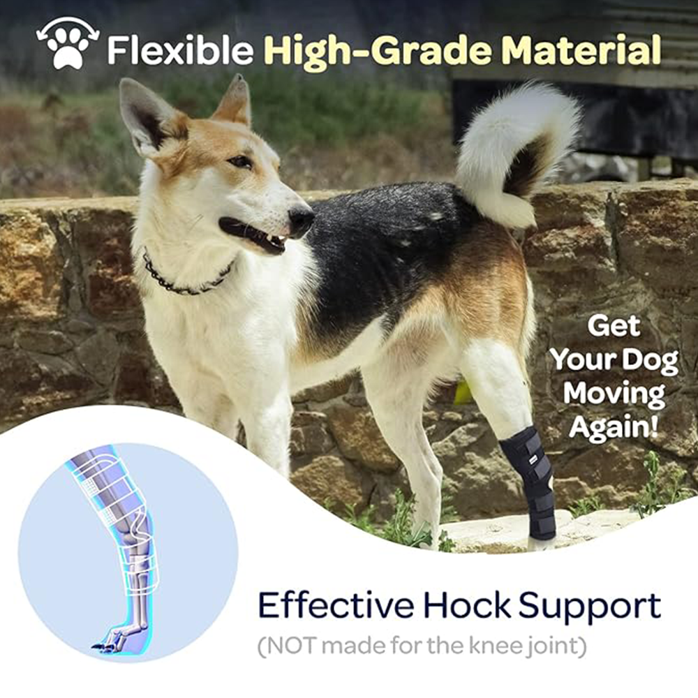 Professional Dog Leg Support Brace