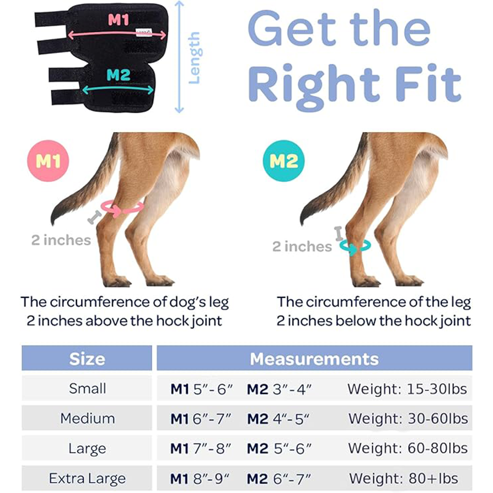 Professional Dog Leg Support Brace