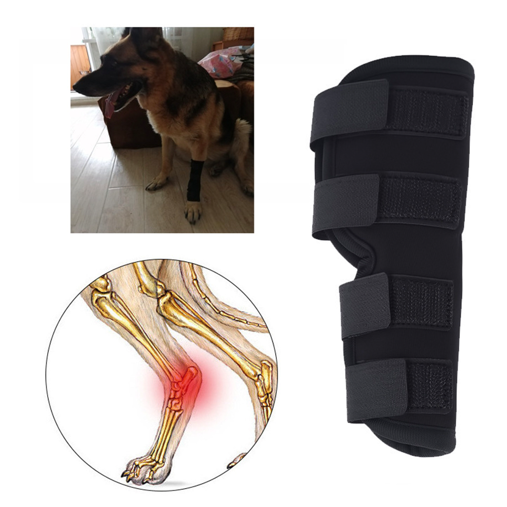 Professional Dog Leg Support Brace