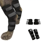 Professional Dog Leg Support Brace