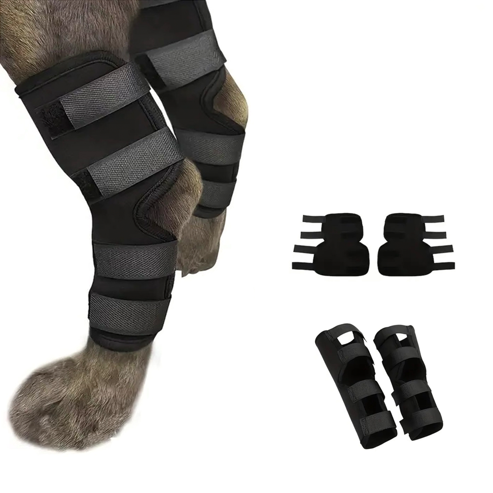 Professional Dog Leg Support Brace