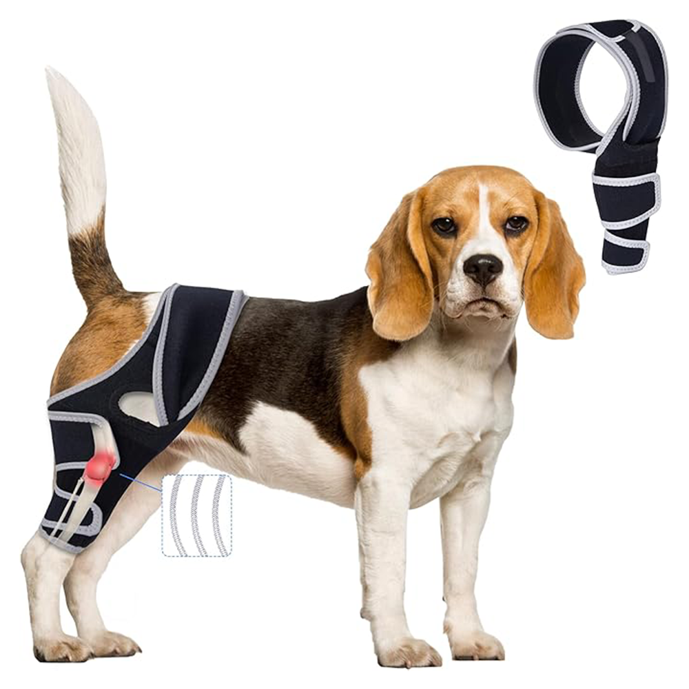 Reinforced Dog ACL Knee Brace