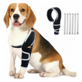 Pro Hinged Dog ACL Knee Brace with 6 Metal Stabilizers
