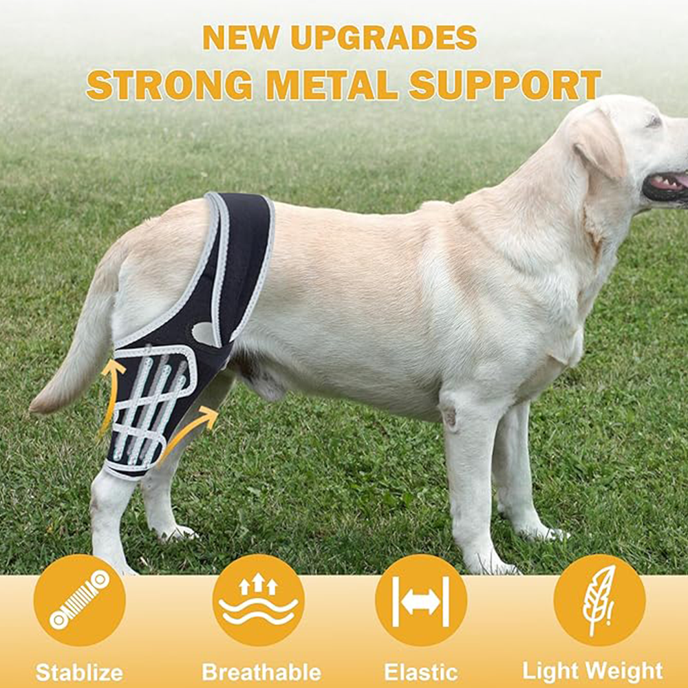 Professional Dog ACL/CCL Knee Brace with 6-Metal Stabilizers