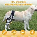 Professional Dog ACL/CCL Knee Brace with 6-Metal Stabilizers