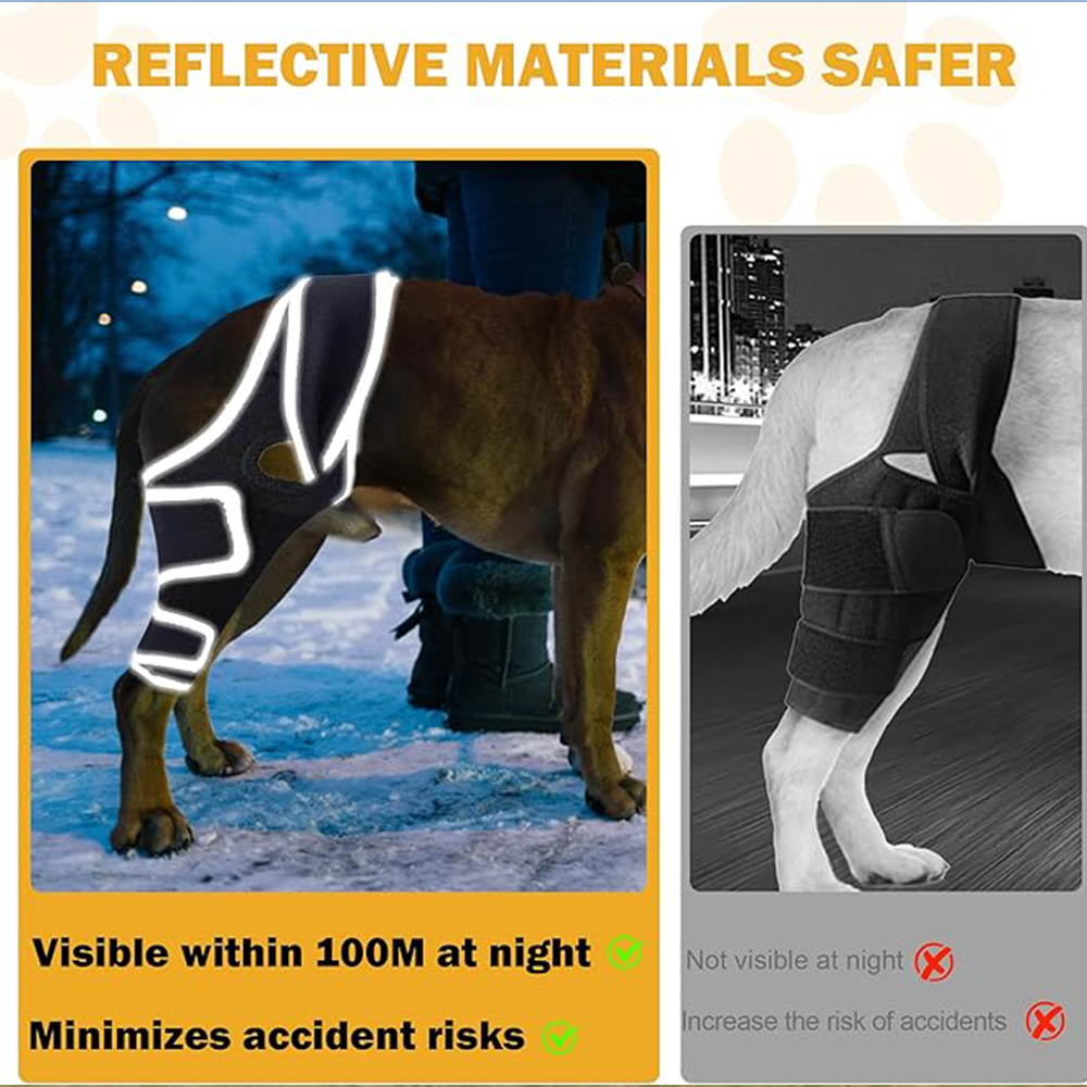 Professional Dog ACL/CCL Knee Brace with 6-Metal Stabilizers