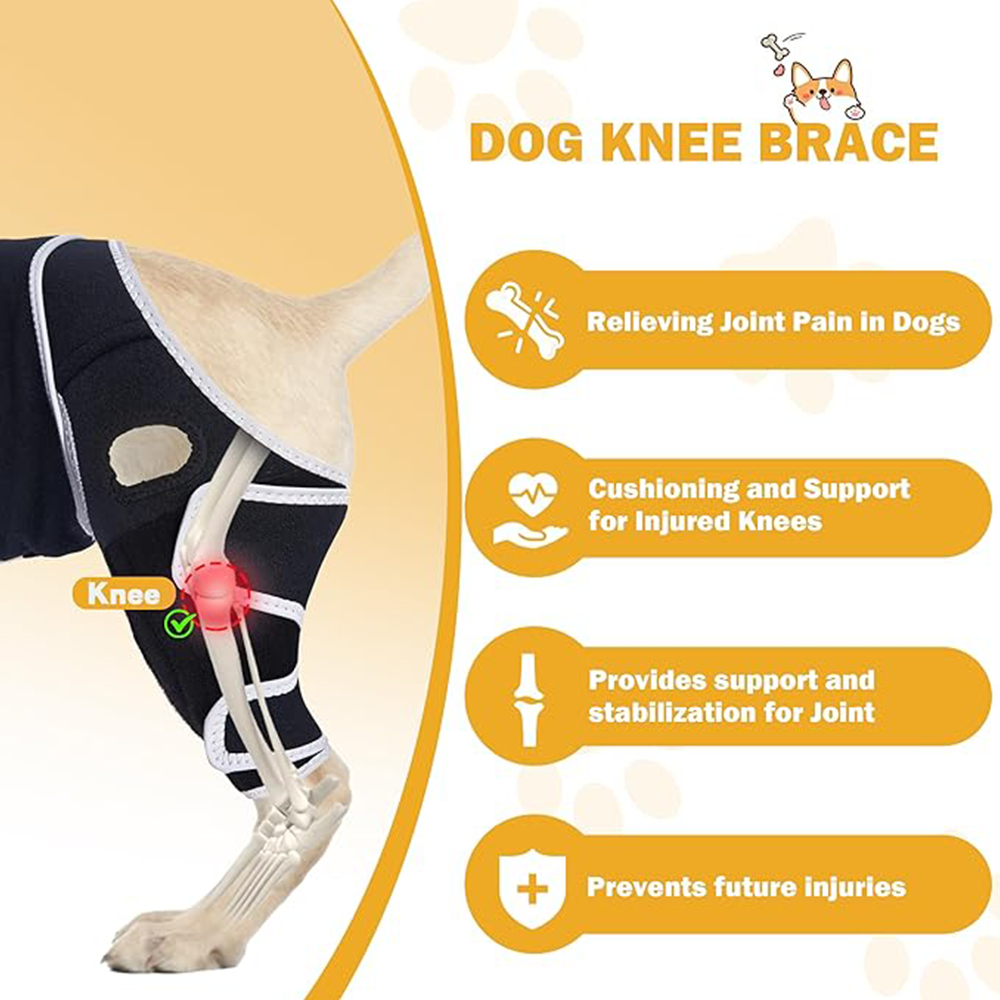Professional Dog ACL/CCL Knee Brace with 6-Metal Stabilizers