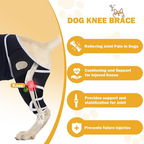 Professional Dog ACL/CCL Knee Brace with 6-Metal Stabilizers