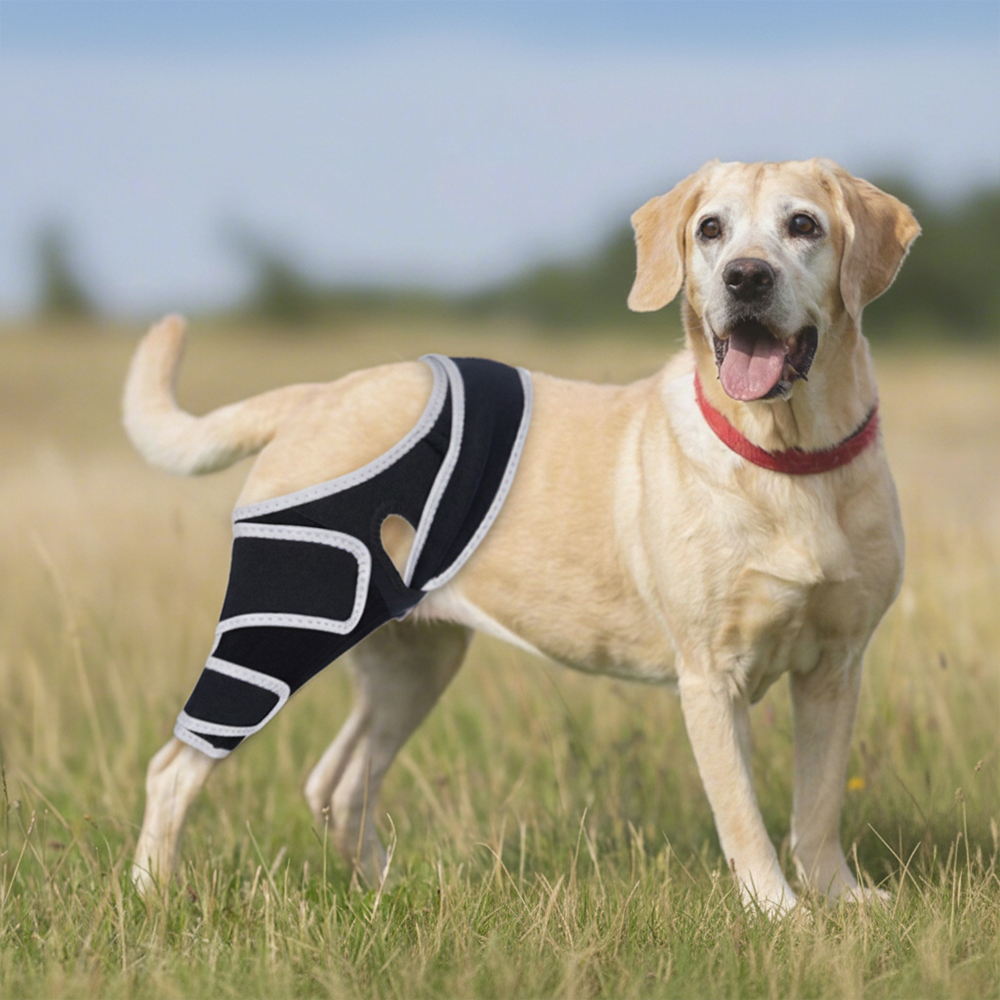 Professional Dog ACL/CCL Knee Brace with 6-Metal Stabilizers